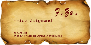 Fricz Zsigmond névjegykártya